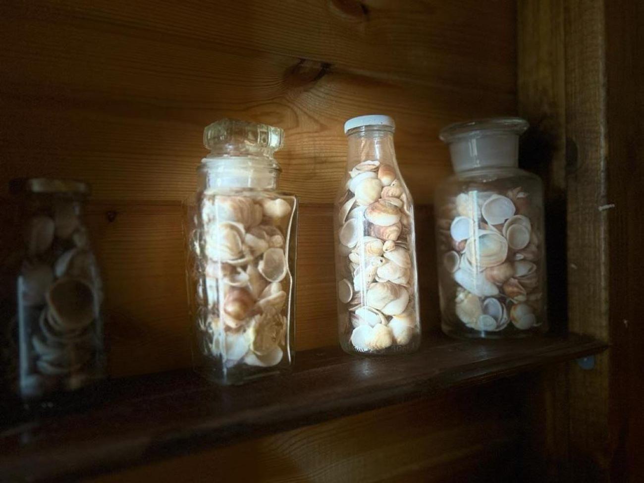 Ahuzat Shaul Seaside Bed & Breakfast ฮาเดรา ภายนอก รูปภาพ